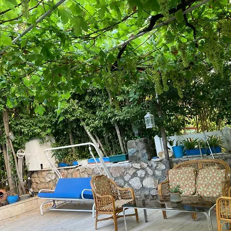 Camellia Guest house
