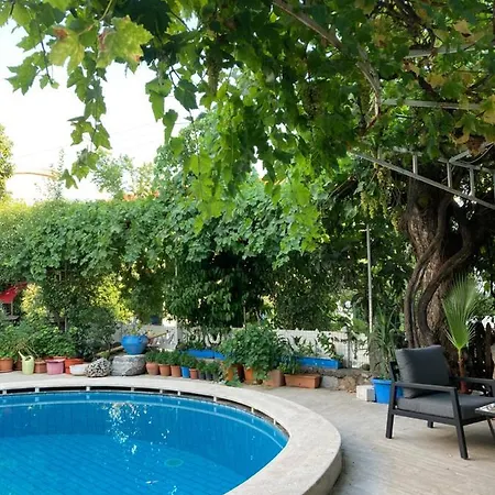 Camellia Marmaris