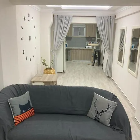 Camellia Guest house *