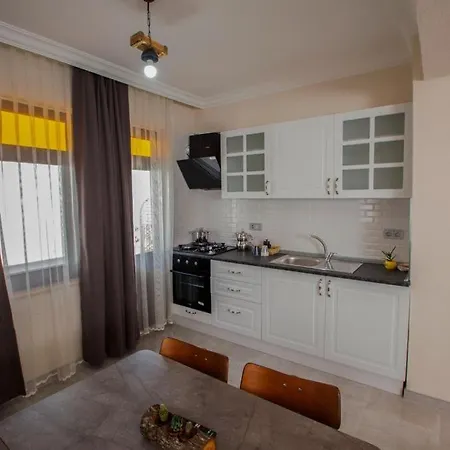 Camellia Guest house *