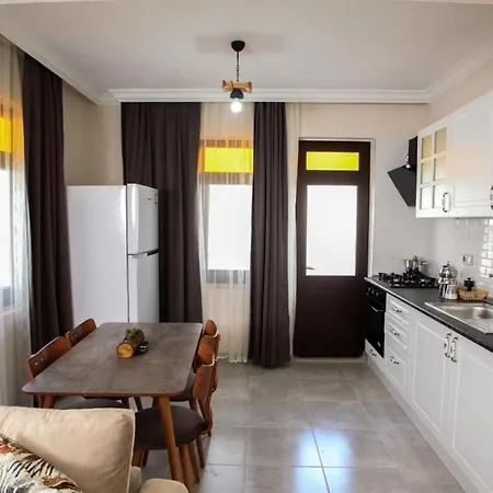 Camellia Guest house *