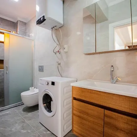 Camellia Guest house *